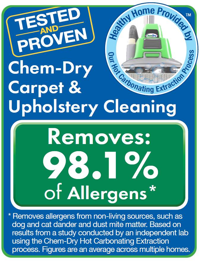 HealthyHome Graphic 2021 1 | Carpet Cleaners