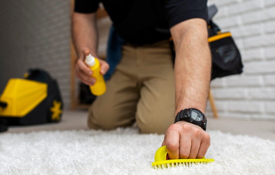 Why Your Area Rugs Need Professional Cleaning in 2024