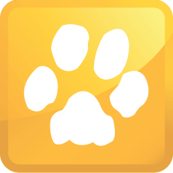 Mattress Cleaning Service Icon