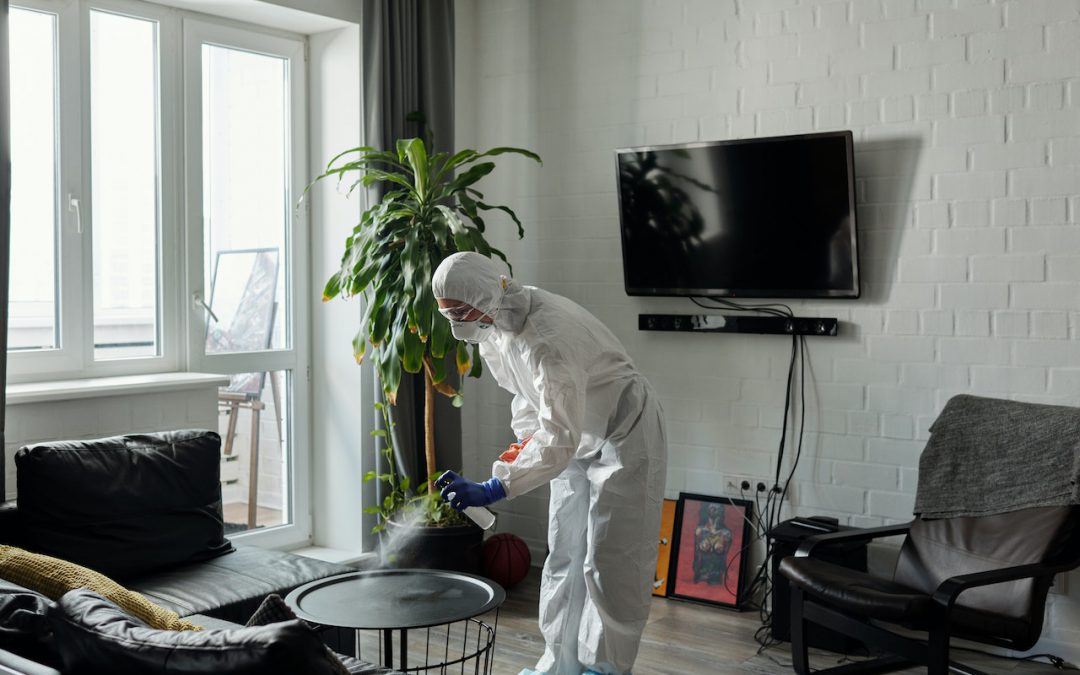 A Professional Cleaners Guide to Cleaning Secondhand Thrifted Furninture