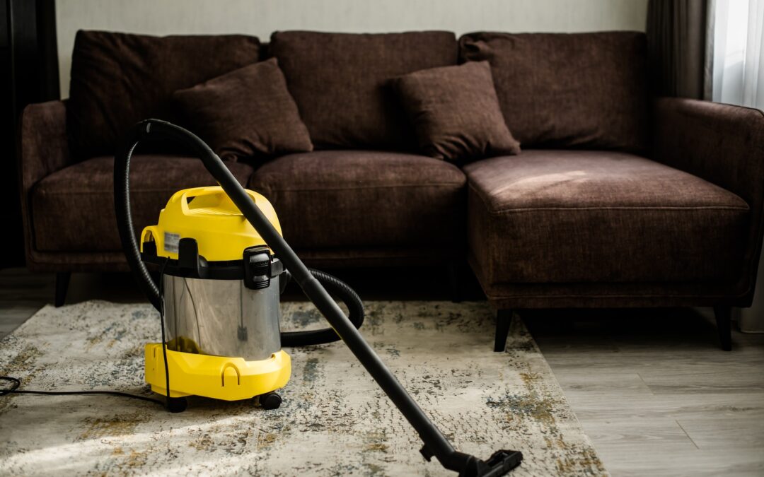 Why Hire a Pro Instead of Renting a Carpet Cleaner Machine