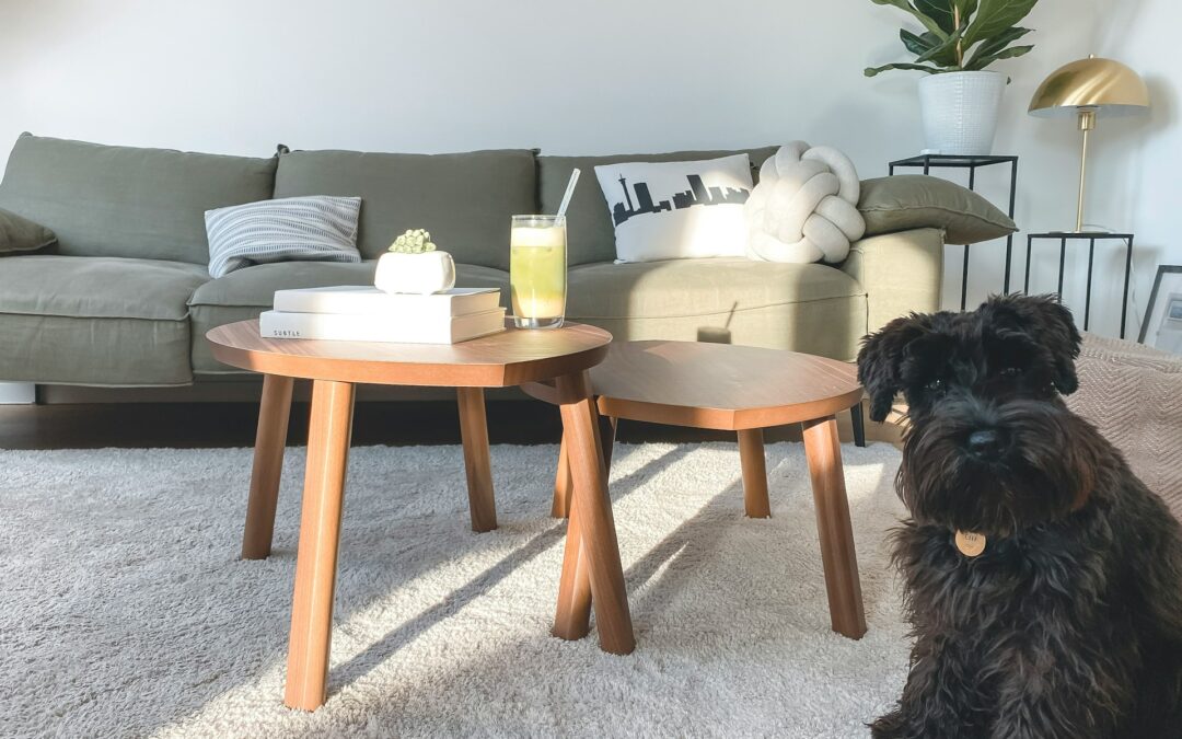 Carpet Cleaning Secrets: Tips and Tricks for Keeping Your Floors Spotless