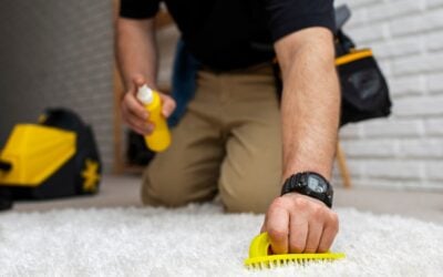 The Advantages of Area Rug Cleaning for Home Aesthetics and Well-Being