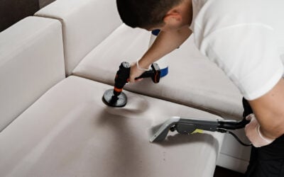How to Restore Foul-Smelling Furniture After Pet Accidents