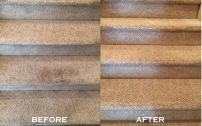 Strategic Residential and Commercial Carpet Cleaning Excellence in Toronto