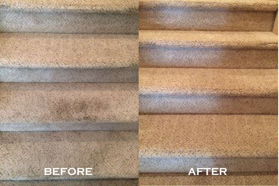 carpet cleaning