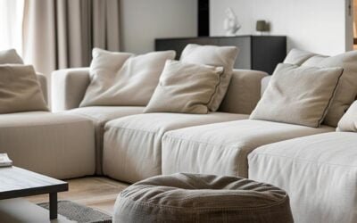 Upholstery Cleaning Toronto: What Your Sofa Accumulates Through Every Season