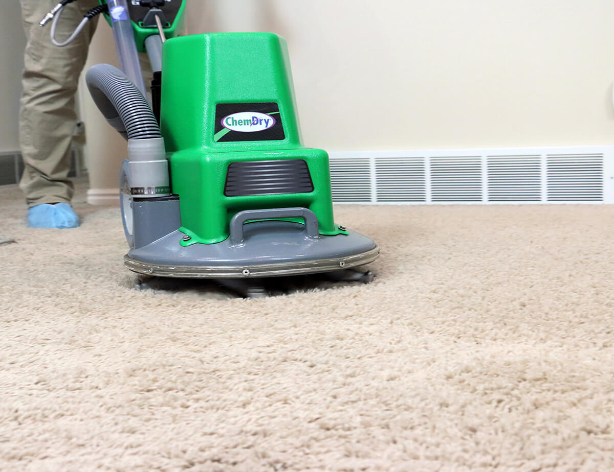 carpet cleaners banff | Carpet Cleaners
