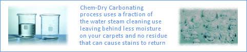 waterbubbles | Carpet Cleaners