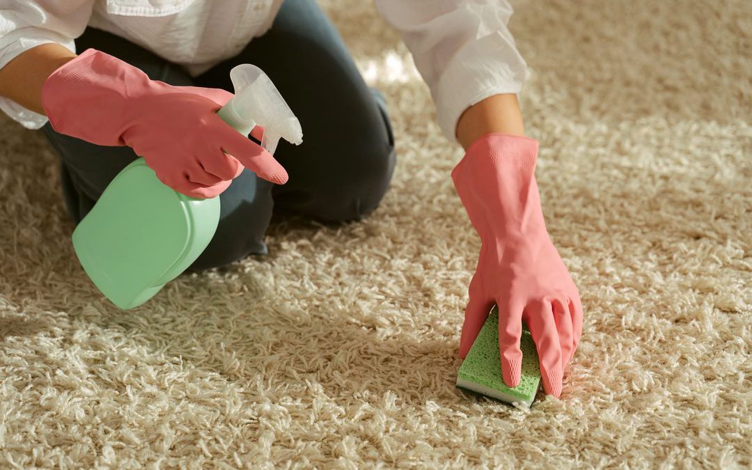 Carpet Cleaning