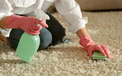 Quick Tips For Identifying Old and Stubborn Carpet Stains