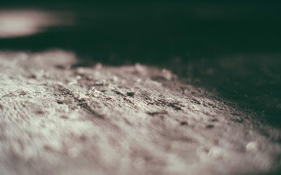 Everything You Need to Know about Carpet Shedding