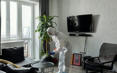 A Professional Cleaners Guide to Cleaning Secondhand Thrifted Furninture