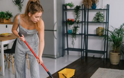 5 Cleaning Tips to Remove the Pet Odour From Your Carpet in Toronto
