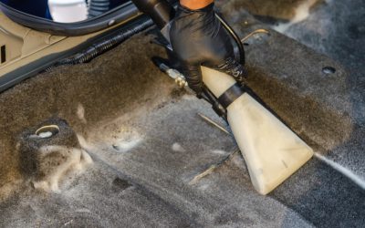 What Health Risks Come With Carpet Water Damage?