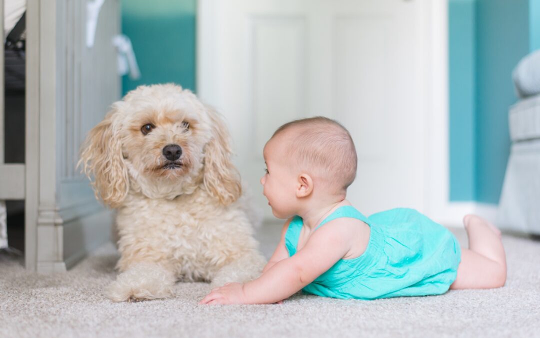baby and dog on the carpet