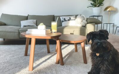 Carpet Cleaning Secrets: Tips and Tricks for Keeping Your Floors Spotless