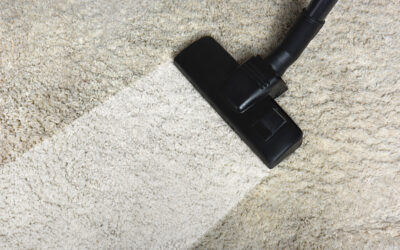 Chem-Dry Cleaning Process: Eco-Friendly Home Cleaning Solutions