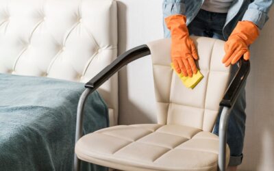 Upholstery Cleaning 101: Maintaining Fresh & Spotless Furniture