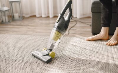 Oriental and Area Rug Cleaning and Maintenance Guide