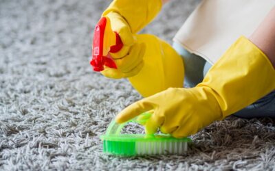 How Our Green Carpet Cleaning Services Help Your Home and the Planet
