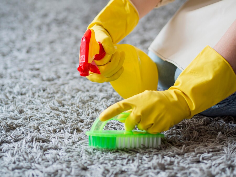 How Our Green Carpet Cleaning Services Help Your Home and the Planet
