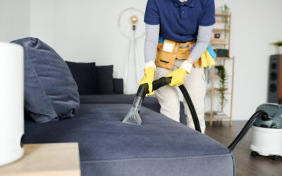 When to Get Your Upholstery Professionally Cleaned