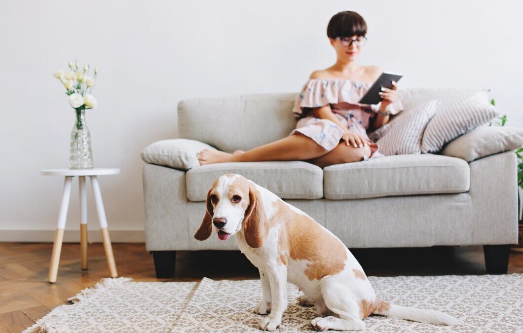 Best Methods for Removing Pet Urine Smells from Carpets