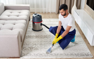 How to Properly Clean Pet Urine from Carpets