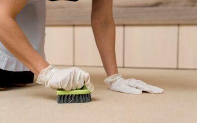 Tips for Removing Stains from Area Rugs