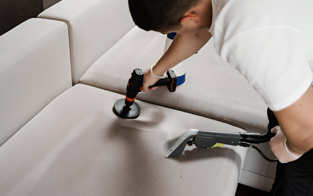 How to Restore Foul-Smelling Furniture After Pet Accidents