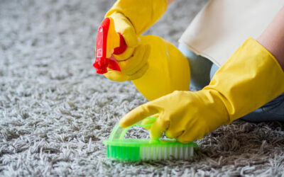 Effective Area Rug Cleaning Methods for Homeowners