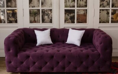 Easy Tips for Keeping Upholstery Clean with Pets