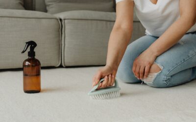 Why Your Carpet Still Smells Bad After DIY Cleaning