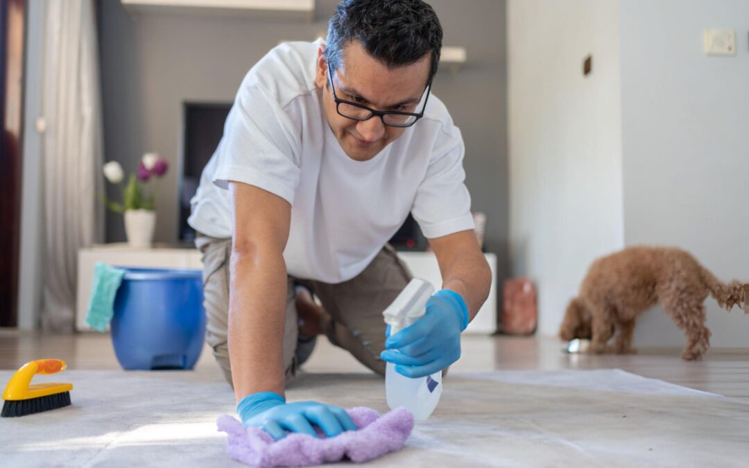 Breaking Down the Chemistry of Pet Urine Stains and Odours