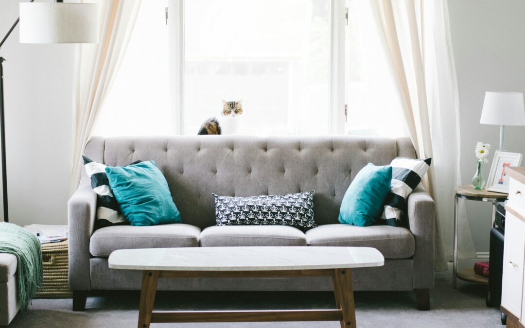 What’s Lurking in Your Upholstery: Common Hidden Contaminants