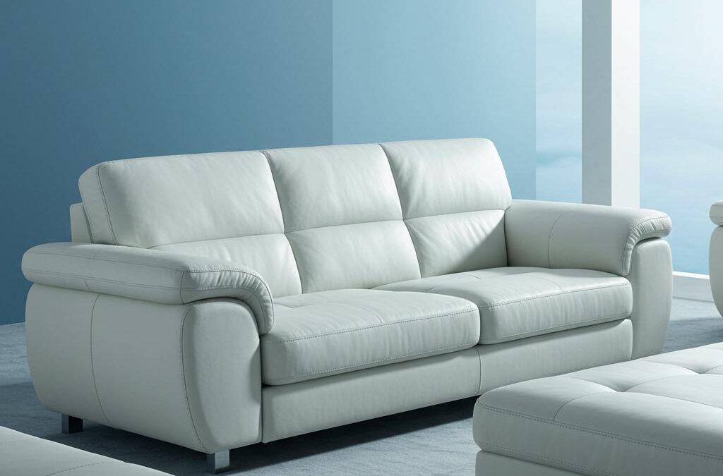 Professional Upholstery Cleaning Services in Toronto: 2026 Winter Guide